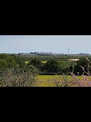 La domenica pugliese? In masseria!!!